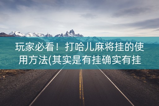 玩家必看！打哈儿麻将挂的使用方法(其实是有挂确实有挂)