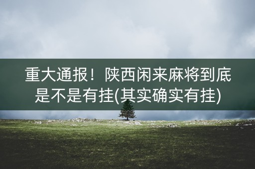重大通报！陕西闲来麻将到底是不是有挂(其实确实有挂)