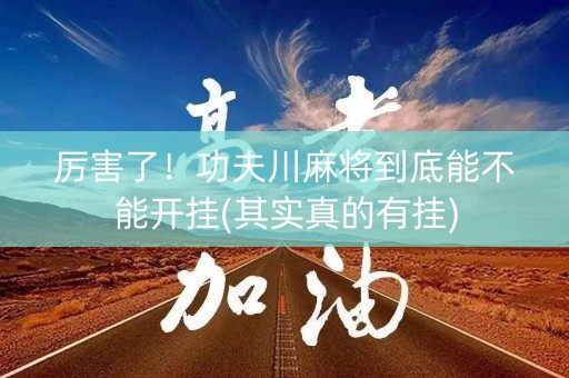 厉害了！功夫川麻将到底能不能开挂(其实真的有挂)