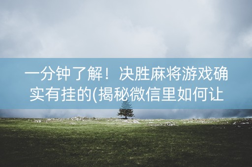 一分钟了解！决胜麻将游戏确实有挂的(揭秘微信里如何让牌变好)