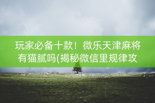 玩家必备十款！微乐天津麻将有猫腻吗(揭秘微信里规律攻略)