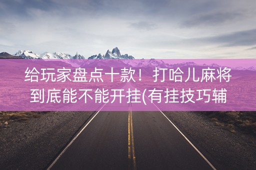 给玩家盘点十款！打哈儿麻将到底能不能开挂(有挂技巧辅助器)