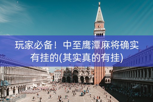 玩家必备！中至鹰潭麻将确实有挂的(其实真的有挂)