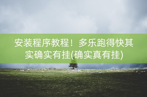 安装程序教程！多乐跑得快其实确实有挂(确实真有挂)