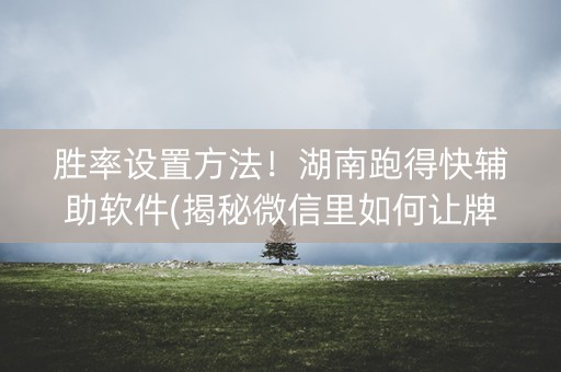 胜率设置方法！湖南跑得快辅助软件(揭秘微信里如何让牌变好)