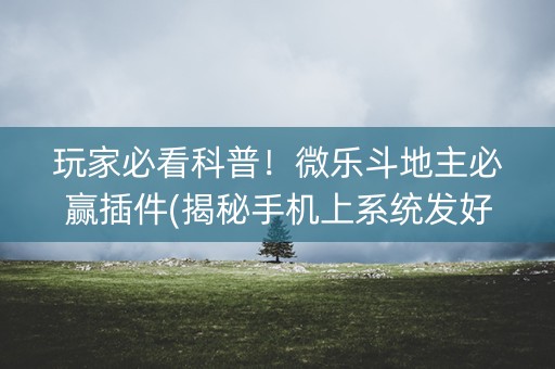 玩家必看科普！微乐斗地主必赢插件(揭秘手机上系统发好牌)