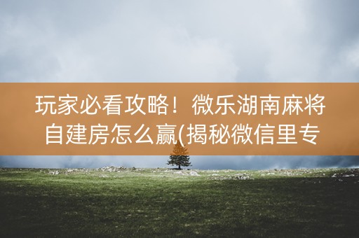 玩家必看攻略！微乐湖南麻将自建房怎么赢(揭秘微信里专用神器)