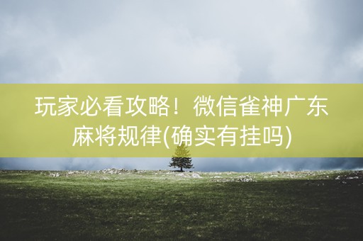 玩家必看攻略！微信雀神广东麻将规律(确实有挂吗)