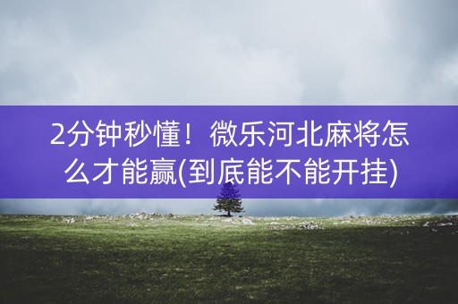 2分钟秒懂！微乐河北麻将怎么才能赢(到底能不能开挂)