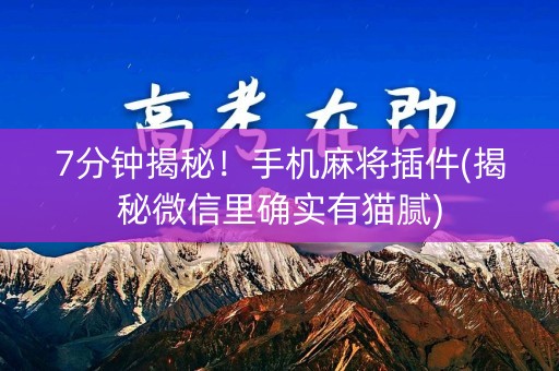 7分钟揭秘！手机麻将插件(揭秘微信里确实有猫腻)