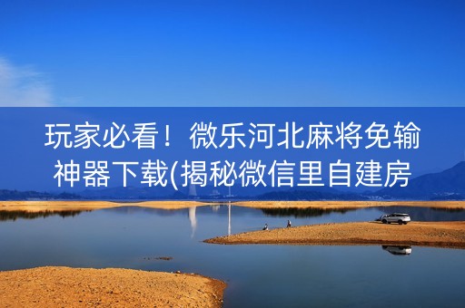 玩家必看！微乐河北麻将免输神器下载(揭秘微信里自建房怎么赢)
