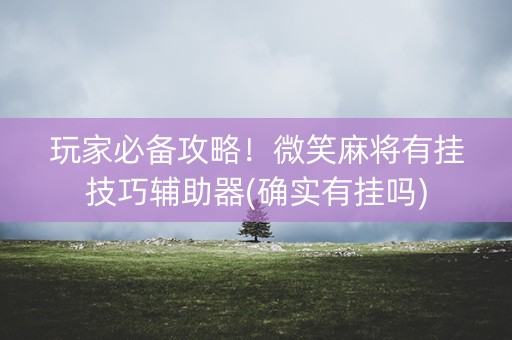 玩家必备攻略！微笑麻将有挂技巧辅助器(确实有挂吗)