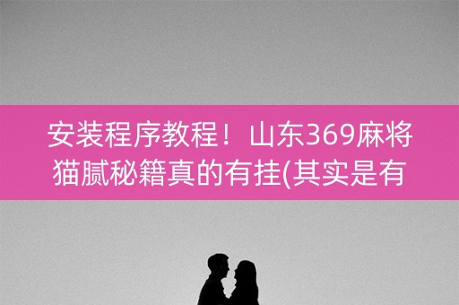 安装程序教程！山东369麻将猫腻秘籍真的有挂(其实是有挂的)