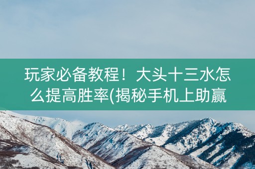 玩家必备教程！大头十三水怎么提高胜率(揭秘手机上助赢神器)