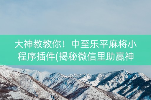 大神教教你！中至乐平麻将小程序插件(揭秘微信里助赢神器购买)