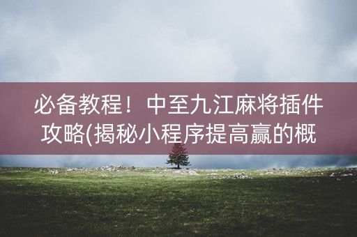 必备教程！中至九江麻将插件攻略(揭秘小程序提高赢的概率)