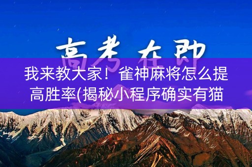 我来教大家！雀神麻将怎么提高胜率(揭秘小程序确实有猫腻)