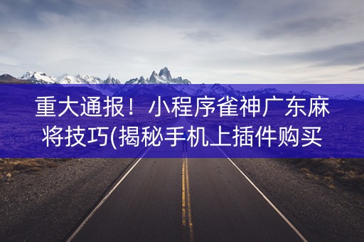重大通报！小程序雀神广东麻将技巧(揭秘手机上插件购买)