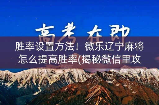 胜率设置方法！微乐辽宁麻将怎么提高胜率(揭秘微信里攻略插件)