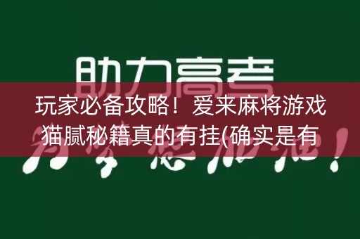 玩家必备攻略！爱来麻将游戏猫腻秘籍真的有挂(确实是有挂)