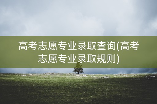 高考志愿专业录取查询(高考志愿专业录取规则)