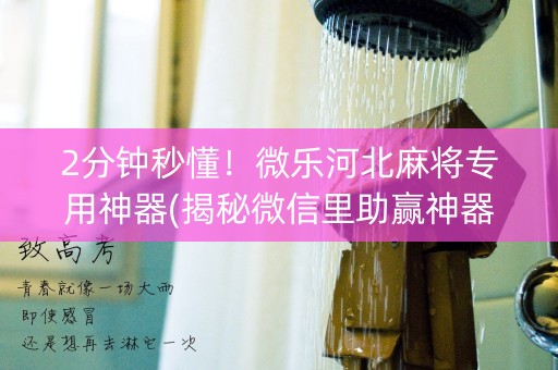 2分钟秒懂！微乐河北麻将专用神器(揭秘微信里助赢神器)