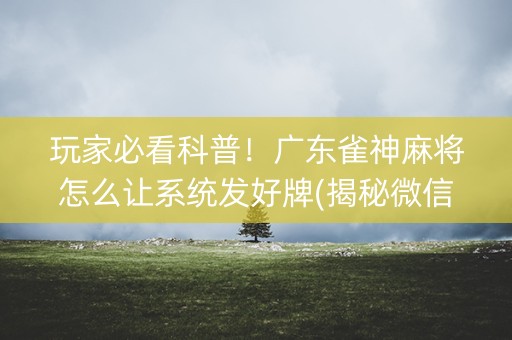 玩家必看科普！广东雀神麻将怎么让系统发好牌(揭秘微信里确实有猫腻)
