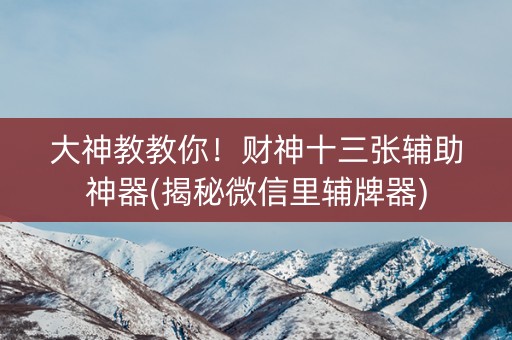 大神教教你！财神十三张辅助神器(揭秘微信里辅牌器)