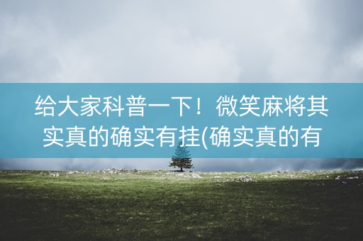 给大家科普一下！微笑麻将其实真的确实有挂(确实真的有挂)