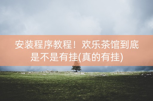 安装程序教程！欢乐茶馆到底是不是有挂(真的有挂)