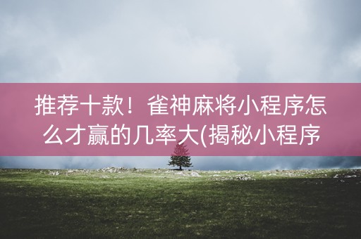 推荐十款！雀神麻将小程序怎么才赢的几率大(揭秘小程序提高赢的概率)