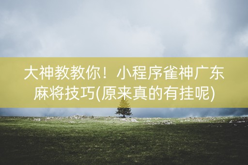 大神教教你！小程序雀神广东麻将技巧(原来真的有挂呢)