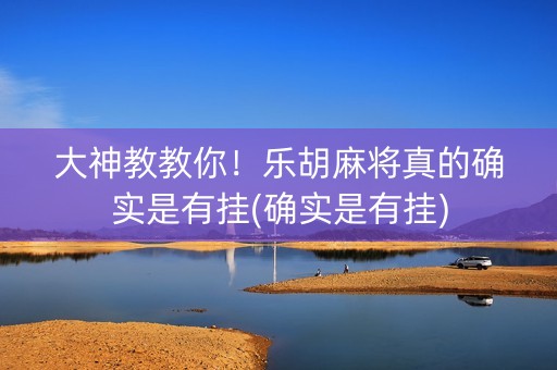 大神教教你！乐胡麻将真的确实是有挂(确实是有挂)