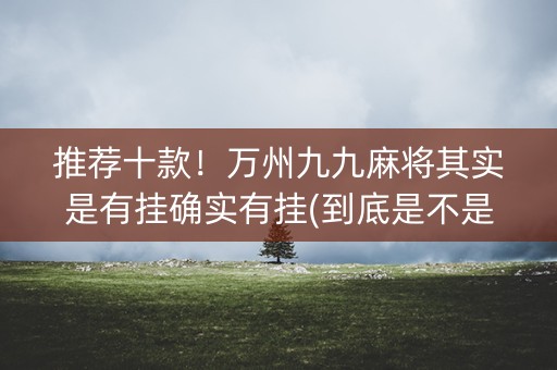 推荐十款！万州九九麻将其实是有挂确实有挂(到底是不是有挂)