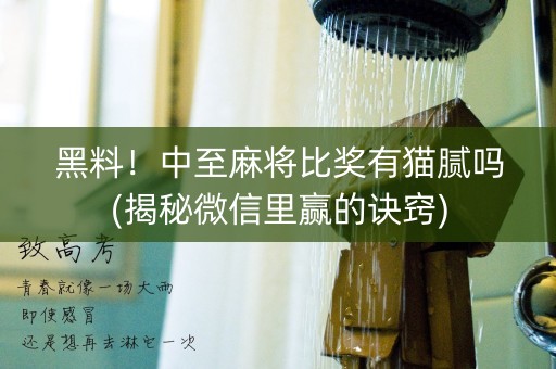 黑料！中至麻将比奖有猫腻吗(揭秘微信里赢的诀窍)