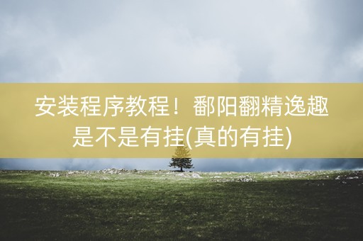 安装程序教程！鄱阳翻精逸趣是不是有挂(真的有挂)