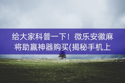 给大家科普一下！微乐安徽麻将助赢神器购买(揭秘手机上赢的秘诀)