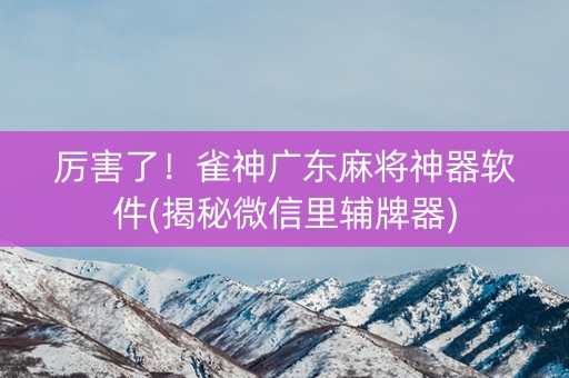 厉害了！雀神广东麻将神器软件(揭秘微信里辅牌器)