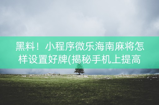 黑料！小程序微乐海南麻将怎样设置好牌(揭秘手机上提高胜率)
