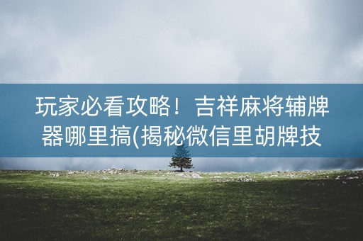 玩家必看攻略！吉祥麻将辅牌器哪里搞(揭秘微信里胡牌技巧)