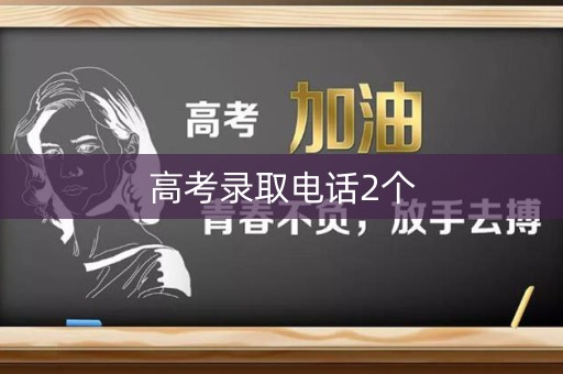 高考录取电话2个