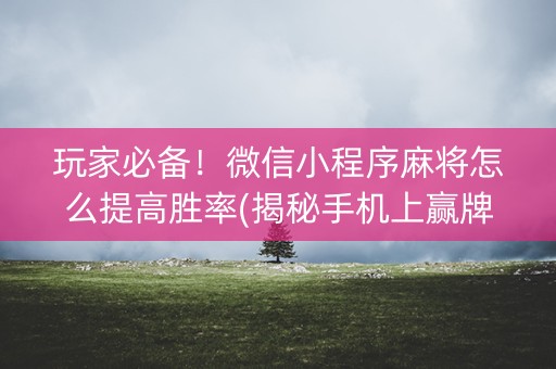 玩家必备！微信小程序麻将怎么提高胜率(揭秘手机上赢牌的技巧)