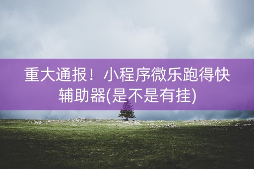 重大通报！小程序微乐跑得快辅助器(是不是有挂)