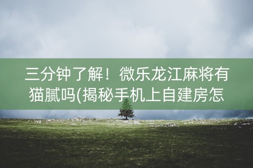 三分钟了解！微乐龙江麻将有猫腻吗(揭秘手机上自建房怎么赢)