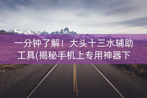 一分钟了解！大头十三水辅助工具(揭秘手机上专用神器下载)