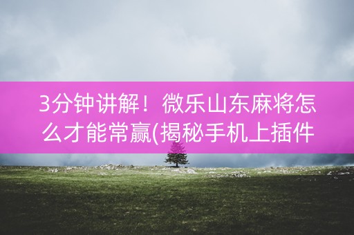 3分钟讲解！微乐山东麻将怎么才能常赢(揭秘手机上插件免费)
