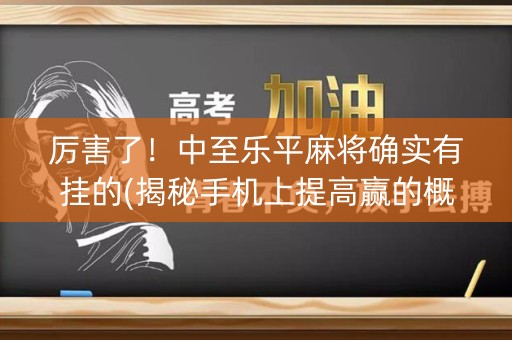 厉害了！中至乐平麻将确实有挂的(揭秘手机上提高赢的概率)