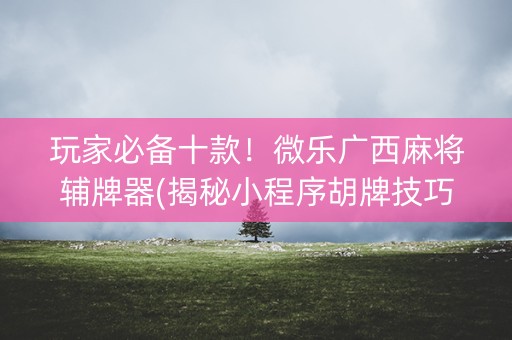 玩家必备十款！微乐广西麻将辅牌器(揭秘小程序胡牌技巧)
