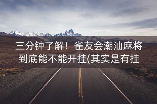 三分钟了解！雀友会潮汕麻将到底能不能开挂(其实是有挂的)