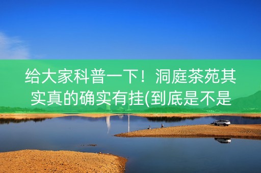 给大家科普一下！洞庭茶苑其实真的确实有挂(到底是不是有挂)